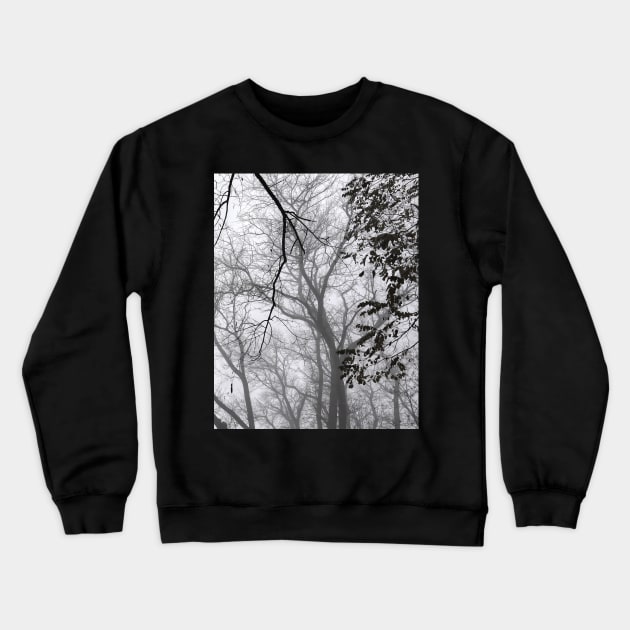 Foggy forest Crewneck Sweatshirt by human_antithesis